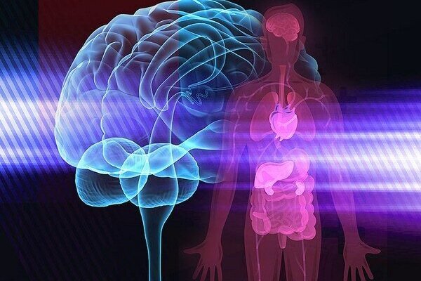 Lower back pain. Lower Back Pain