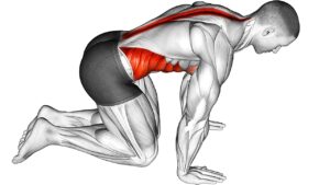 lower back pain