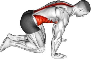 How muscle activation can help relieve and prevent lower back pain